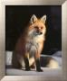 Fox And Winter Coat by Peter Beneyfield Limited Edition Print