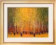 Aspen Glow by Gary Max Collins Limited Edition Pricing Art Print