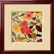 Wild Roses by Kim Parker Limited Edition Pricing Art Print