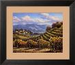 Vineyard Village by Sung Kim Limited Edition Pricing Art Print