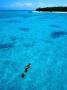 Snorkelling Around Musgrove Island On The Great Barrier Reef, Queensland, Australia by Lee Foster Limited Edition Print