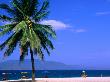 Beach Vendor Walking Along Sand With Palm Tree In Foreground, Nha Trang, Vietnam by John Banagan Limited Edition Print