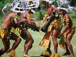 Villagers Performing In Traditional Dress, Madang, Papua New Guinea by Jerry Galea Limited Edition Print