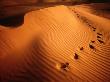 Footprints In Rippled Red Sand Of Perry Sand Dunes, Near Mildura, New South Wales, Australia by Dallas Stribley Limited Edition Print