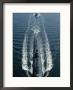 A Los Angeles-Class Attack Submarine Cruises Into Port by Joel Sartore Limited Edition Print