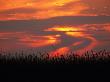 Twilight Sky Over The African Grassland by Beverly Joubert Limited Edition Print