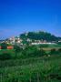 13Th Century Castle And Town, Riegersburg, Styria, Austria by Walter Bibikow Limited Edition Print