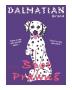 Dalmatian Spot Prawns by Ken Bailey Limited Edition Print