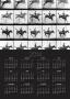 Man And Horse Jumping, From Animals In Motion, London, Published 1907 by Eadweard Muybridge Limited Edition Print