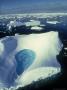 Ice Floe With Meltpool And Pancake Ice, Antarctica by Ben Osborne Limited Edition Print