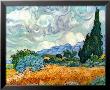 Wheatfield With Cypresses, C.1889 by Vincent Van Gogh Limited Edition Print