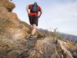 Man Trail Running On The Mount Olympus Trail, Wasatch Mountains, Usa by Mike Tittel Limited Edition Print