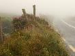 Ireland, Foggy Road In Counryside by Keith Levit Limited Edition Print