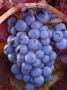 Bunch Of Purple Grapes On The Vine by Fogstock Llc Limited Edition Pricing Art Print