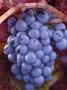 Bunch Of Purple Grapes On The Vine by Fogstock Llc Limited Edition Print