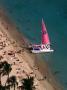 Catamaran Boat On Beach, Usa by Lee Foster Limited Edition Print