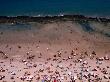 The Boa Viagem Beach Of Recife, Recife, Brazil by John Maier Jr. Limited Edition Print