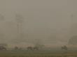 Dust Storm Darkens The Sky Near A Group Of Feeding Wildebeests by Beverly Joubert Limited Edition Print