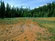 Paint Pots Ochre Beds, British Colombia, Canada by Richard Packwood Limited Edition Print