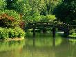 Bridge Over Lake In Japanese Garden At Missouri Botanical Garden by Eddie Brady Limited Edition Print