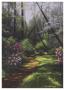 Spring Woods by Lene Alston Casey Limited Edition Pricing Art Print