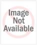 Beach Boys' Al Jardine by Bill Carlson Limited Edition Pricing Art Print