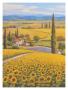 Sunflower Field by Sung Kim Limited Edition Print