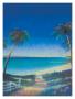 Tropical Path Ii by Fred Fieber Limited Edition Print