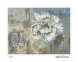Inspired Blossom Ii by Ruth Franks Limited Edition Print