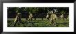 Statues Of Army Soldiers In A Park, Korean War Veterans Memorial, Washington Dc, Usa by Panoramic Images Limited Edition Pricing Art Print