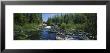 Waterfall In The Forest, Michigan, Usa by Panoramic Images Limited Edition Print