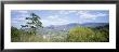 Houses In A Valley, Gatlinburg, Tennessee, Usa by Panoramic Images Limited Edition Print