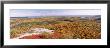 Trees On A Mountain, Bangor Area, Peaked Mountain, Clifton, Maine, Usa by Panoramic Images Limited Edition Print