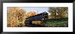 Bridge Crossing Over The Lake, Fallsburg Park, Michigan, Usa by Panoramic Images Limited Edition Print