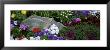 Flowers In A Garden, Alaska by Panoramic Images Limited Edition Pricing Art Print