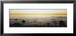 Rocks On The Beach, Block Island, Rhode Island, Usa by Panoramic Images Limited Edition Print