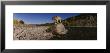 Gray Wolf, North Fork Flathead River, Glacier National Park, Montana, Usa by Panoramic Images Limited Edition Print