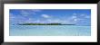 Trees On An Island, Rangiroa, French Polynesia by Panoramic Images Limited Edition Pricing Art Print