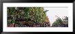 Crops In A Vineyard, Sonoma County, California, Usa by Panoramic Images Limited Edition Print