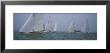 Sailboats At Regatta, Newport, Rhode Island, Usa by Panoramic Images Limited Edition Print