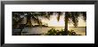 Palm Trees On The Coast, Kohala Coast, Big Island, Hawaii, Usa by Panoramic Images Limited Edition Print