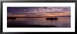 Silhouette Of A Ferry In A River, Bainbridge, Washington State, Usa by Panoramic Images Limited Edition Print