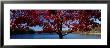 Walden Pond, Concord, Massachusetts, Usa by Panoramic Images Limited Edition Print