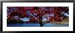 Walden Pond, Concord, Massachusetts, Usa by Panoramic Images Limited Edition Pricing Art Print