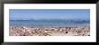 Garbage Dumped On Beach, Puerto Plata, Dominican Republic by Panoramic Images Limited Edition Print