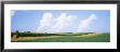Hay Bales In A Field, Jo Daviess County, Illinois, Usa by Panoramic Images Limited Edition Print