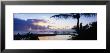 Palm Tree On The Beach, Wailua Bay, Kauai, Hawaii, Usa by Panoramic Images Limited Edition Pricing Art Print