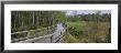 Boardwalk Passing Through A Forest, Corkscrew Swamp Sanctuary, Naples, Florida, Usa by Panoramic Images Limited Edition Pricing Art Print