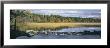 Trees Around A Lake, Itasca State Park, Minnesota, Usa by Panoramic Images Limited Edition Print
