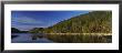Reflection Of Trees In Water, Acadia National Park, Maine, Usa by Panoramic Images Limited Edition Print